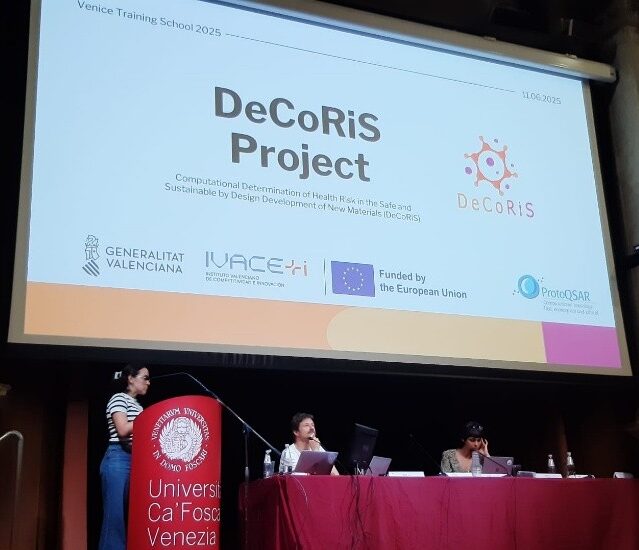 DeCoRiS 13th Venice Training School